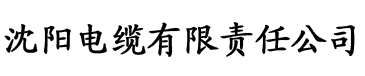 人人插人人射电缆厂logo